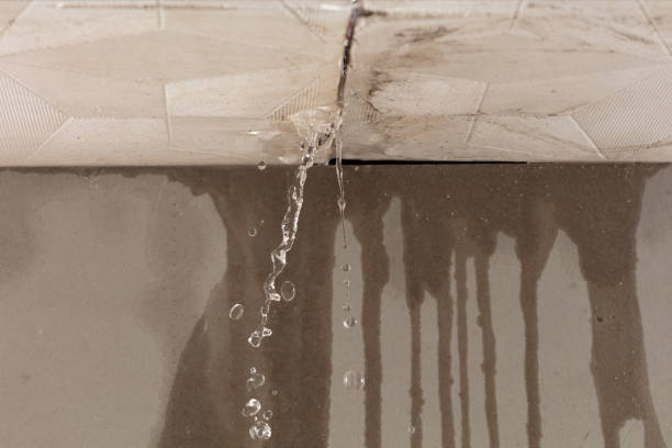 Professional Water Damage Repair technician working in Lake Orion, MI